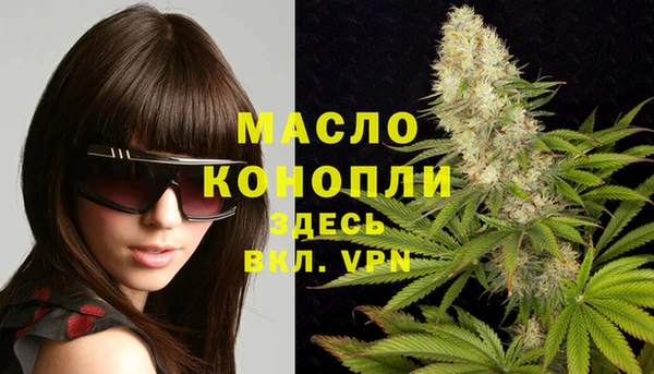 мдпв Магас