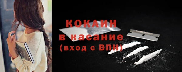 твердый Медногорск