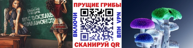 Галлюциногенные грибы GOLDEN TEACHER Краснокаменск